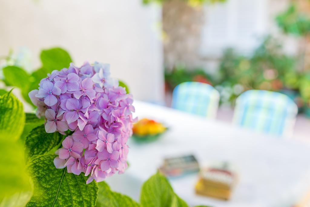 Ava Studio Apartment And Room Dubrovnik Rom bilde